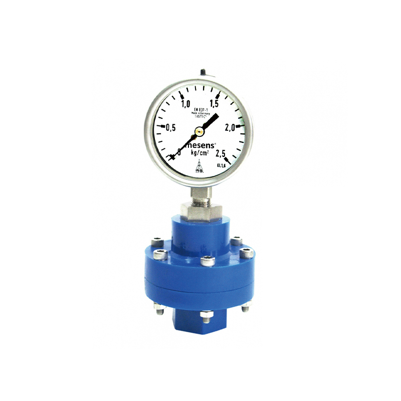 Plastic Cased Diaphragm Pressure Gauge - PDT132